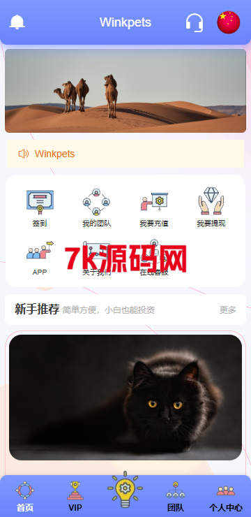 海外宠物投资理财系统/多语言投资源码/前端VUE226-7k海外源码-精品源码站